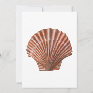 Scallop-Snäcka Inbjudningar