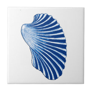 Scallop-Snäcka, Indigo Blue och White Kakelplatta
