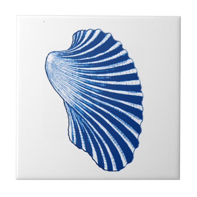 Scallop-Snäcka, Indigo Blue och White Kakelplatta (Framsidan)
