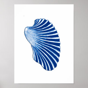 Scallop-Snäcka, Indigo Blue och White Poster