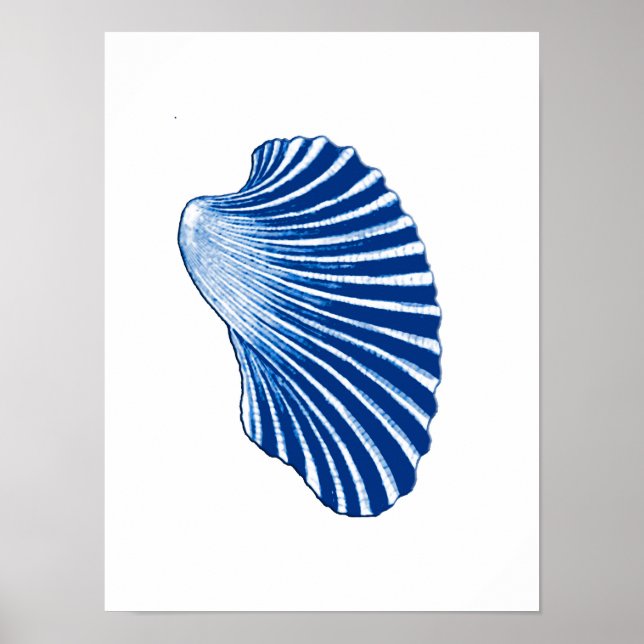 Scallop-Snäcka, Indigo Blue och White Poster (Framsidan)