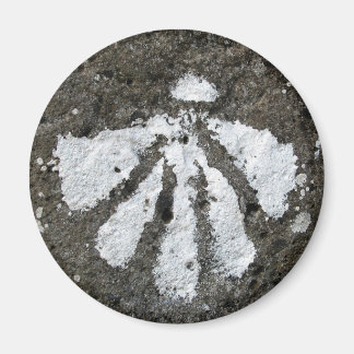 Scallop Snäcka Magnet