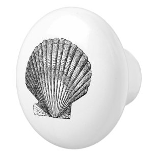 Scallop-snäckan nautisk Sea inspirerad deka Knopp