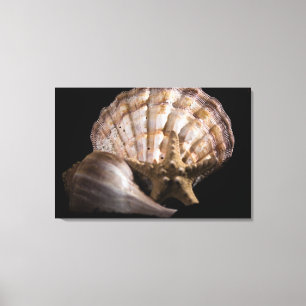 Scallop, Whelk, Sea Star Canvastryck