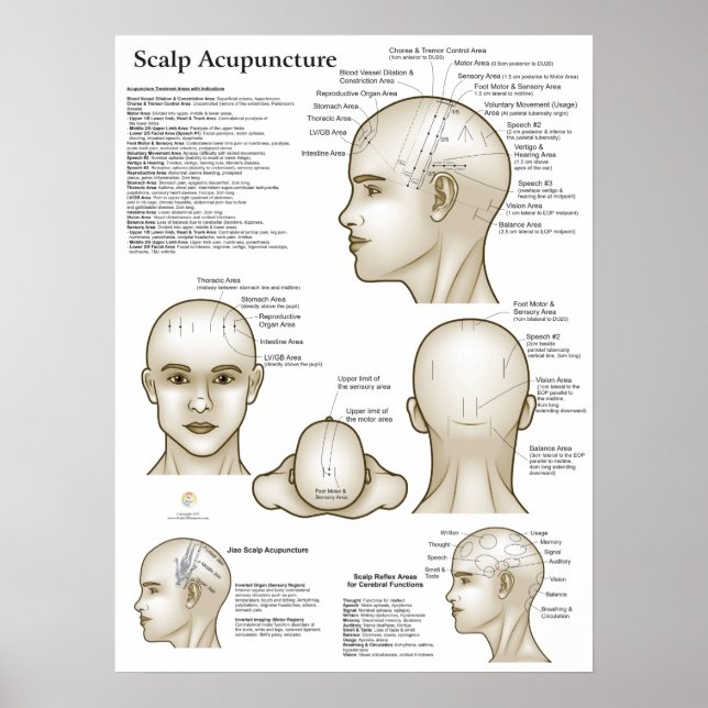 Scalp Head Acupuncture Points Poster (Framsidan)