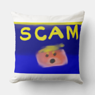 SCAM Pillow Kudde