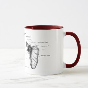 Scapulaen specificerar mugg