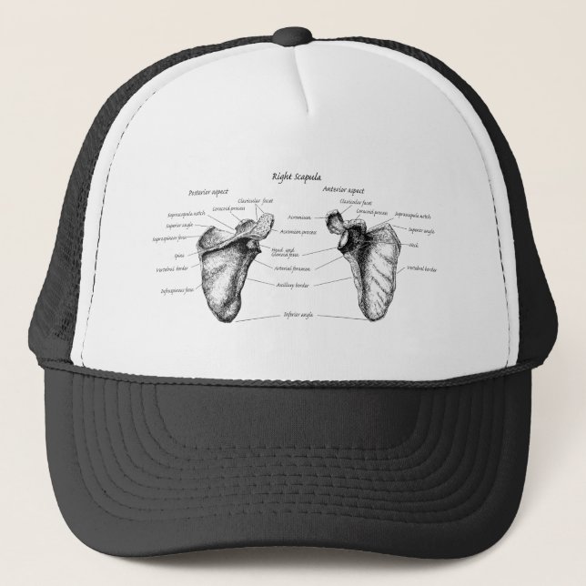 Scapulaen specificerar truckerkeps (Framsida)