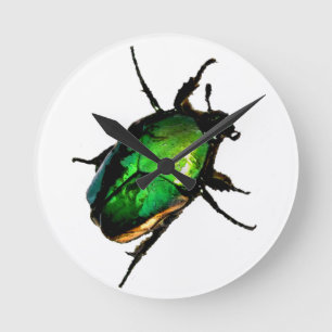 Scarab Beetle Rund Klocka