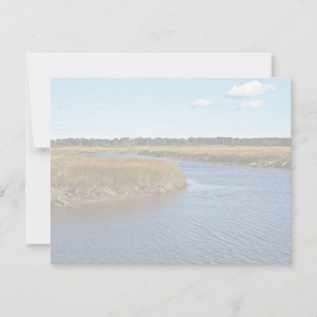 Scarborough Marsh (saltwater) Maine (Framsida)