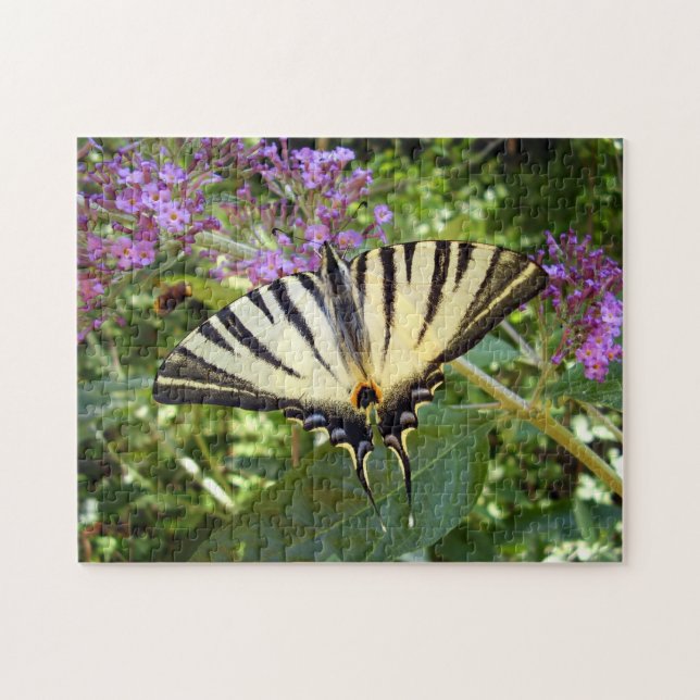 Scarce Swallowtail Butterfly Photo Puzzle Pussel (Horisontell)