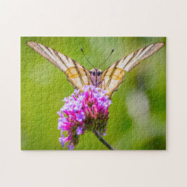 Scarce Swallowtail Butterfly. Pussel