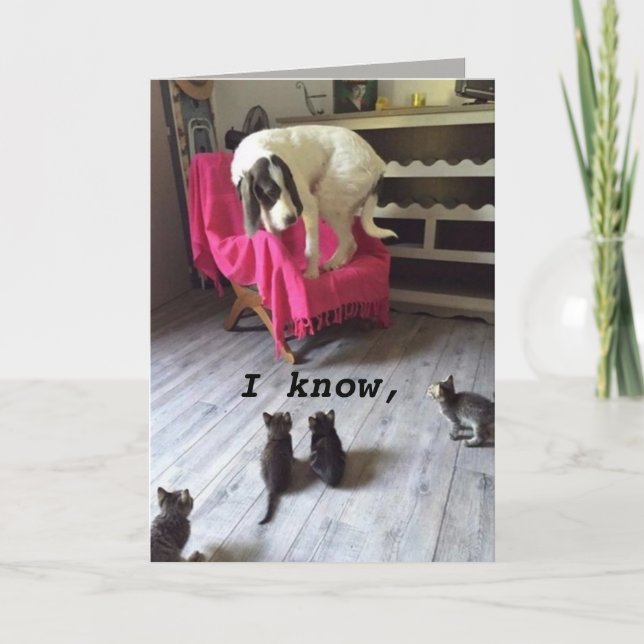 SCARDY-HUND KORT (Framsida)