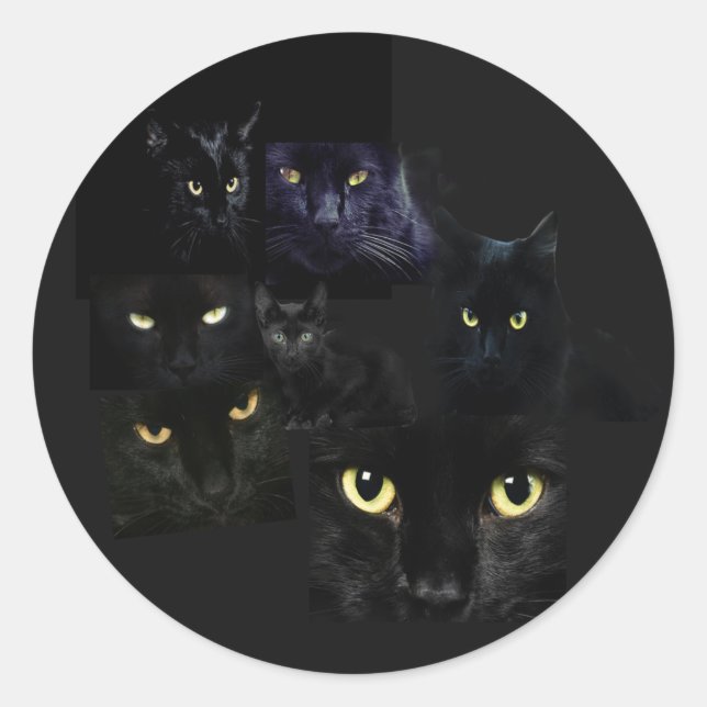 Scaredy Cats Sticker Runt Klistermärke (Framsida)