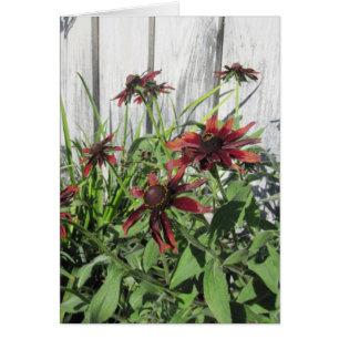 Scarlet Blommor och bin i Garden Blank Note Card OBS Kort