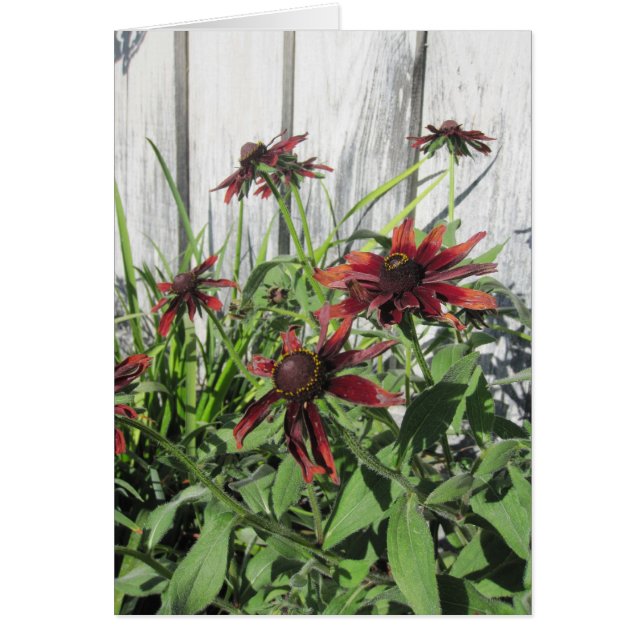 Scarlet Blommor och bin i Garden Blank Note Card OBS Kort (Framsidan)
