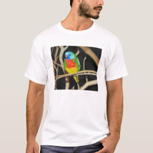 Scarlet-Chested parakiter - Neophema splendida Tee
