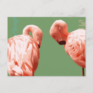Scarlet Flamingo Vykort
