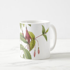 scarlet fuchsia (Fuchsia coccinea) av Redouté Kaffemugg