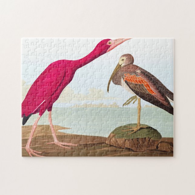 Scarlet ibis av John James Audubon Pussel (Horisontell)