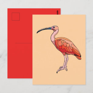 Scarlet Ibis Bird Vykort