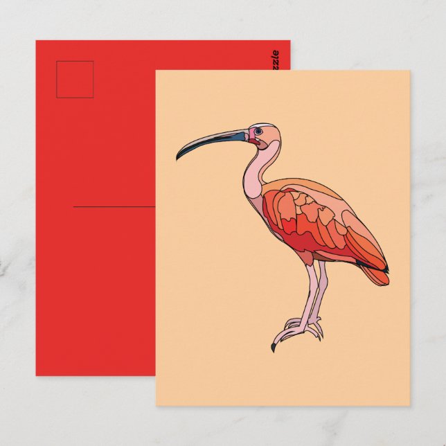 Scarlet Ibis-fågel Vykort (Fram/baksida)