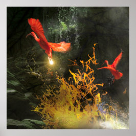 Scarlet Ibis Fåglar "STEALING THE LIGHT" Poster