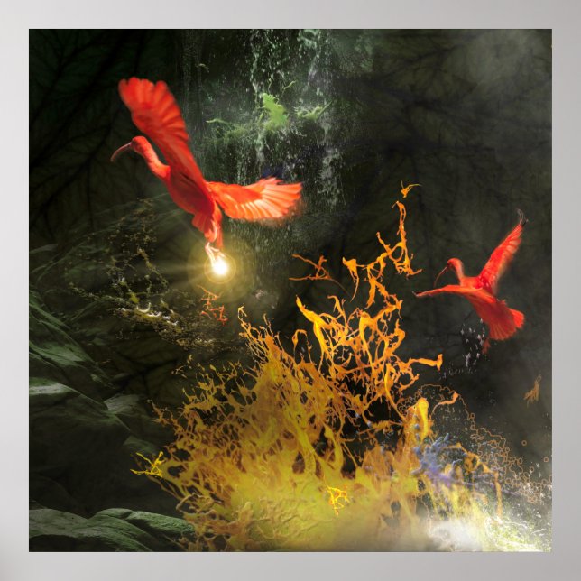 Scarlet Ibis Fåglar "STEALING THE LIGHT" Poster (Framsidan)