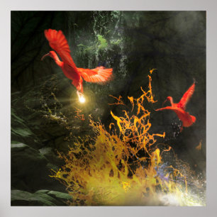 Scarlet Ibis Fåglar “STJÄL LJUSET” Poster