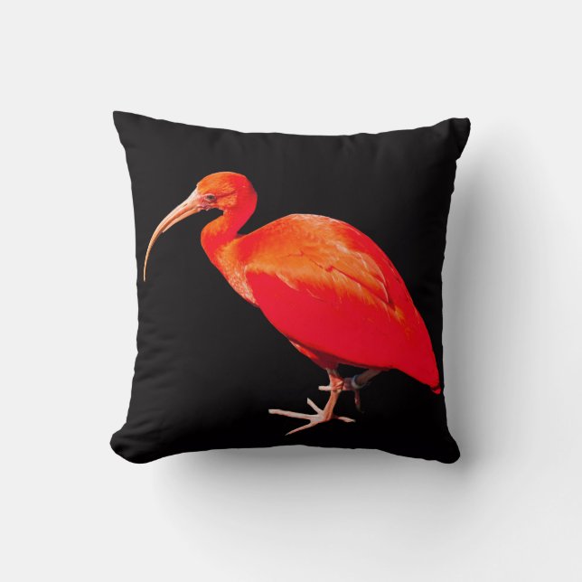 Scarlet Ibis Kudde (Framsida)