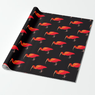 Scarlet Ibis Presentpapper