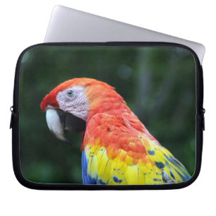 scarlet macaw ansikte laptop sleeve
