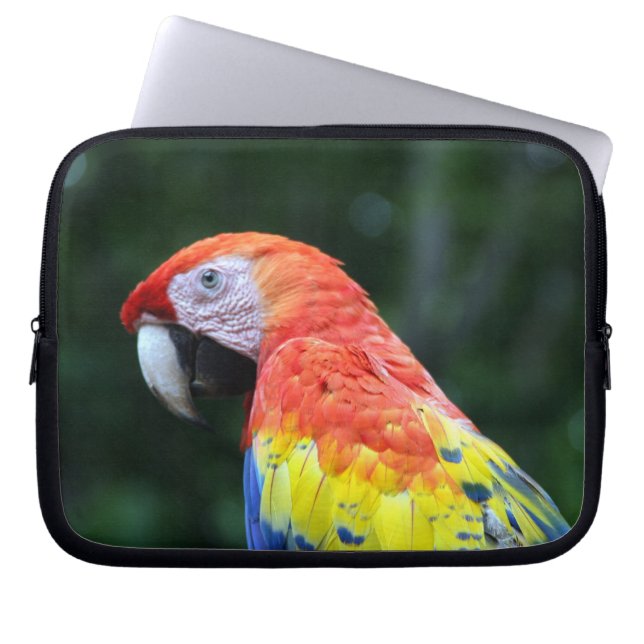 scarlet macaw ansikte laptop sleeve (Framsidan)
