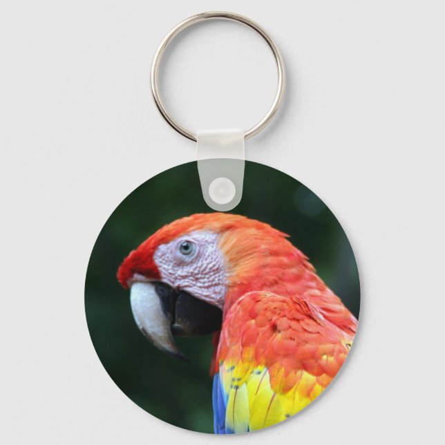 scarlet macaw ansikte nyckelring (Framsida)