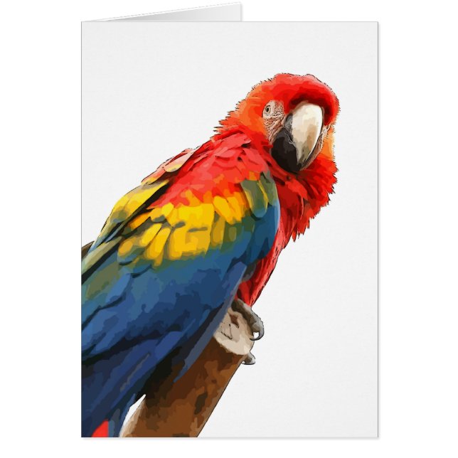 Scarlet Macaw-anteckningskort OBS Kort (Framsidan)