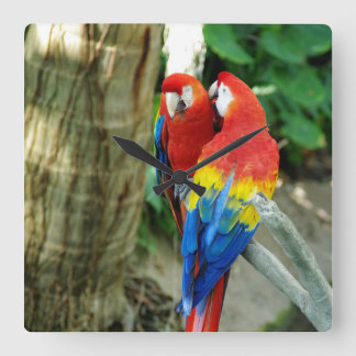 Scarlet Macaw Clock Fyrkantig Klocka