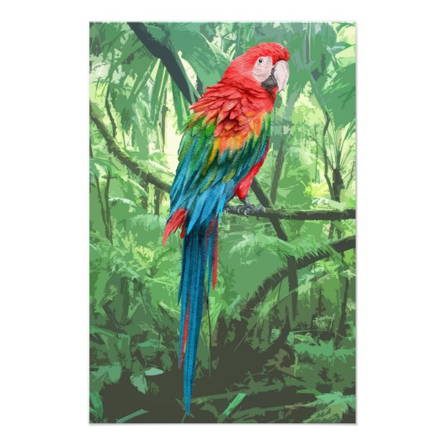 Scarlet Macaw Design Foto Utvidgning (Framsidan)