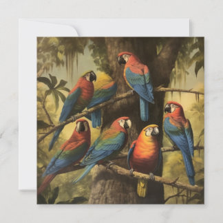 Scarlet Macaw Djungelsamling Vibrant Botanisk