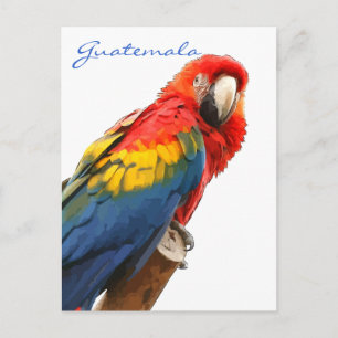 Scarlet Macaw Guatemala-vykort Vykort