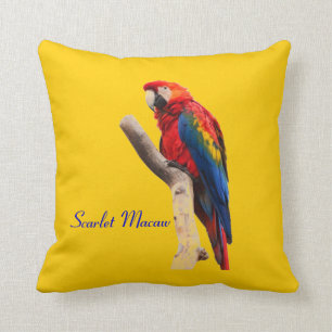 Scarlet Macaw Guld Thommon Cushion Kudde
