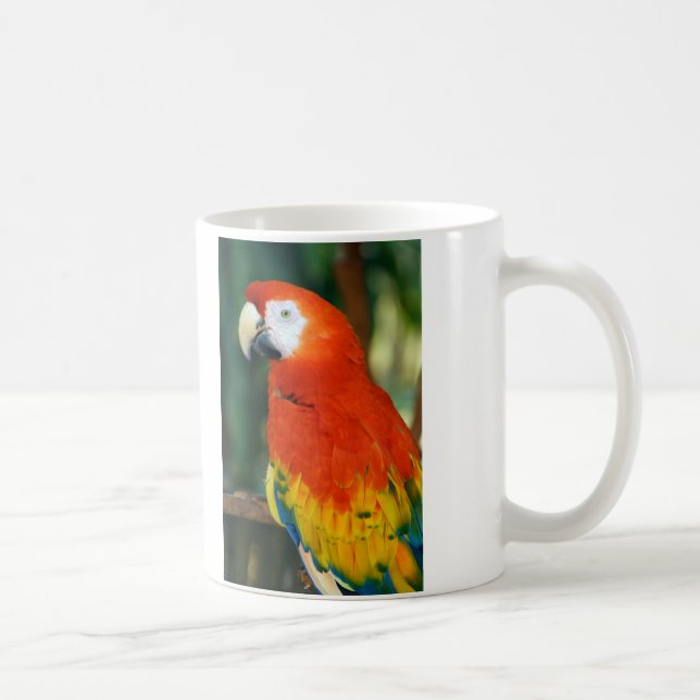 Scarlet Macaw Kaffemugg (Höger)