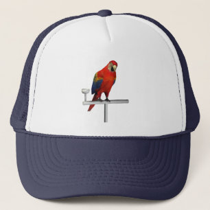 Scarlet Macaw Keps