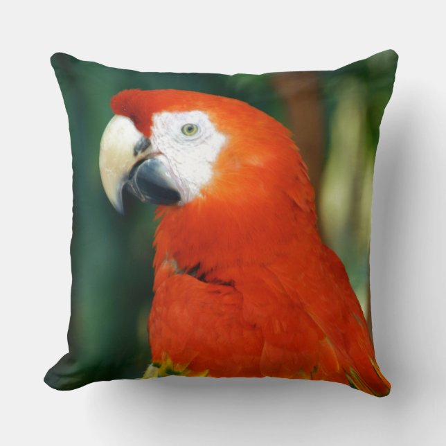 Scarlet Macaw Kudde (Framsida)