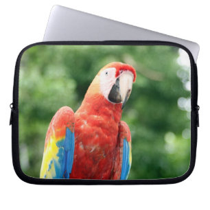 scarlet macaw laptop sleeve