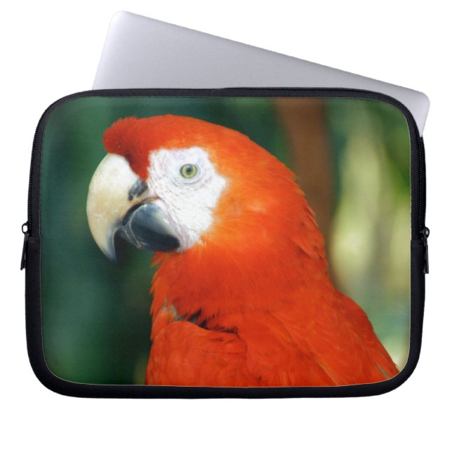 Scarlet Macaw Laptop Sleeve (Framsidan)