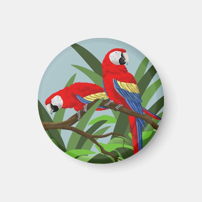 Scarlet Macaw Magnet (Framsidan)