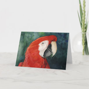 "Scarlet Macaw" Original Art Notecard Kort