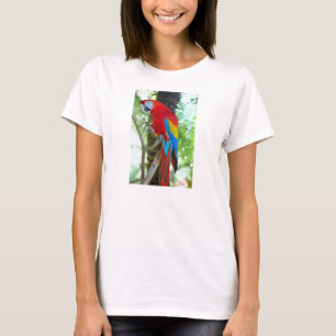 Scarlet Macaw, papegoja på Womans T-shirt