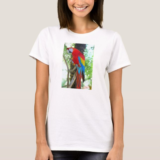 Scarlet Macaw, papegoja på Womans T-shirt (Framsida)