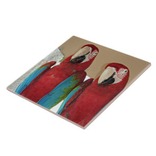 Scarlet Macaw Par Tropical Kakel Illustration